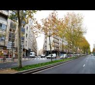 Inmobiliaria Campillo